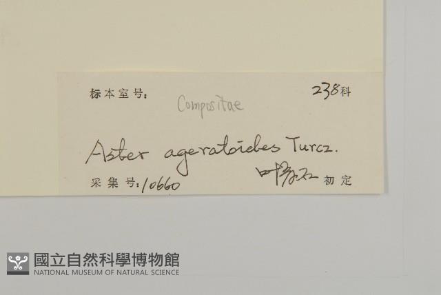 山白蘭藏品圖，第3張