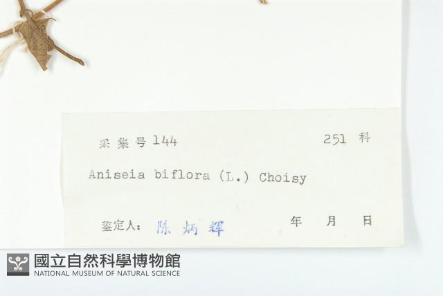 心萼薯藏品圖，第3張