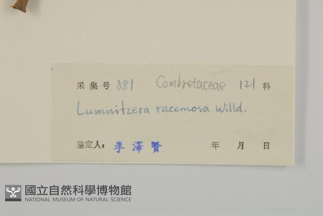 欖李藏品圖，第3張