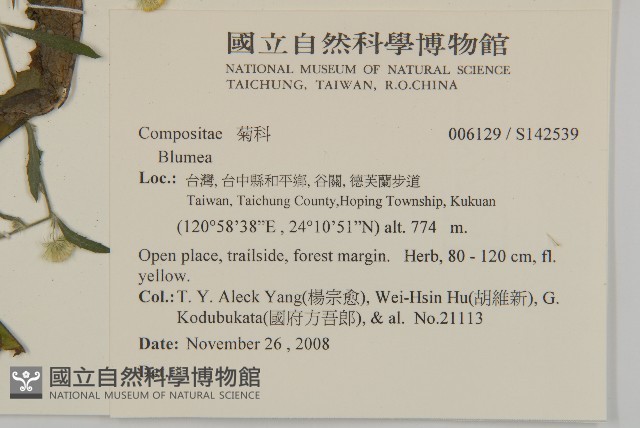 登錄號:S142539藏品圖，第3張