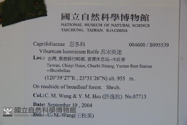 呂宋莢迷藏品圖，第2張