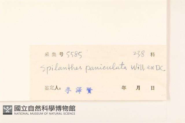 金鈕釦藏品圖，第3張