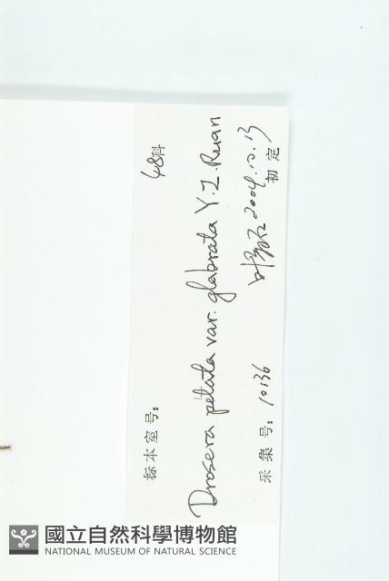 登錄號:S102369藏品圖，第3張