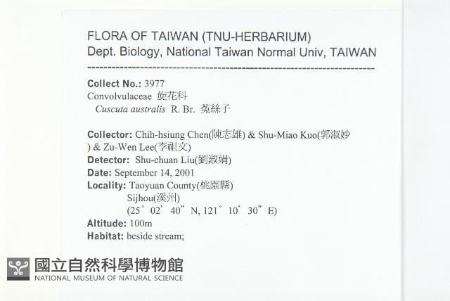 菟絲子藏品圖，第2張