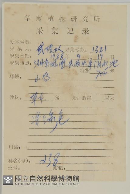 加拿大蓬藏品圖，第2張