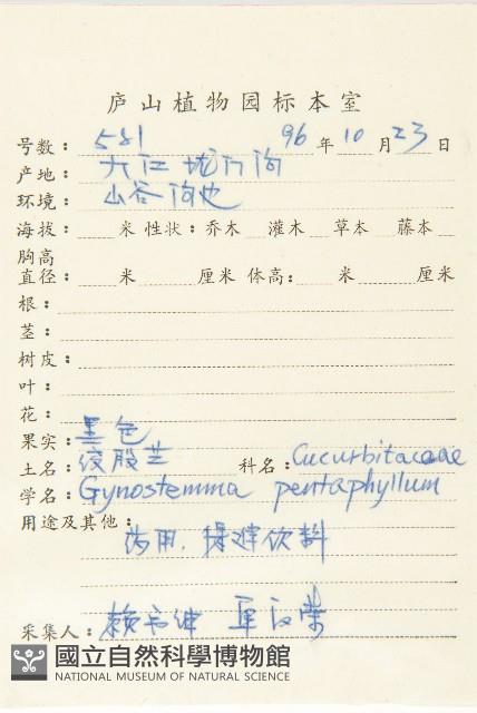 絞股藍藏品圖，第2張