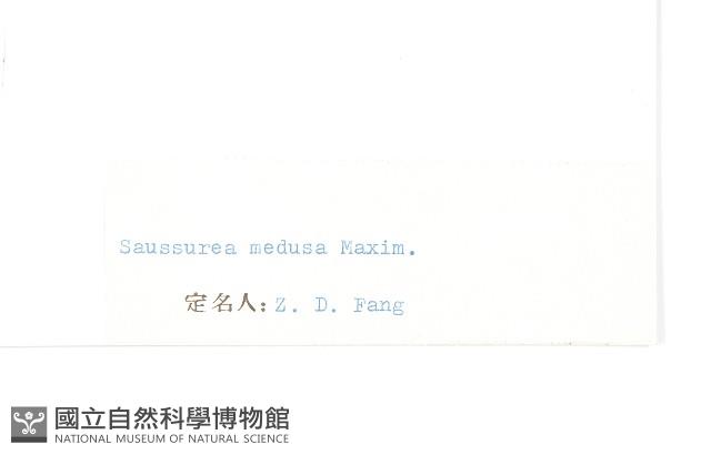 水母雪蓮花藏品圖，第3張