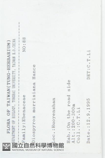 山紅柿藏品圖，第2張