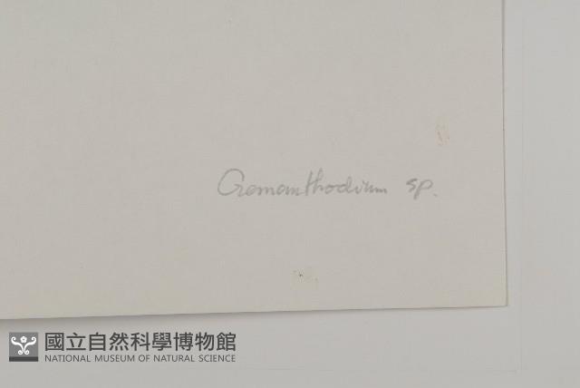 登錄號:S022149藏品圖，第3張