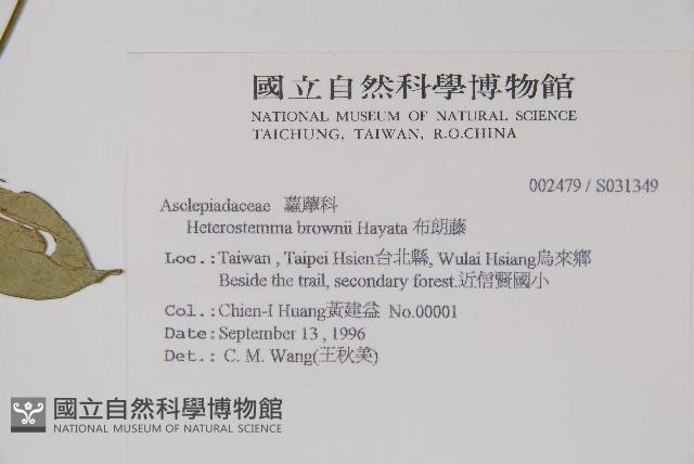 布朗藤藏品圖，第2張