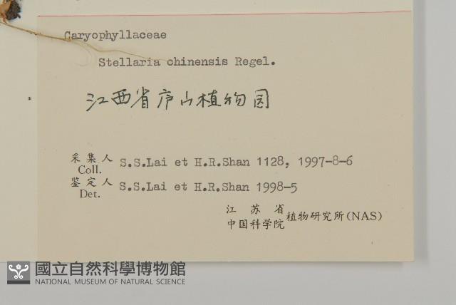 中國繁縷藏品圖，第3張