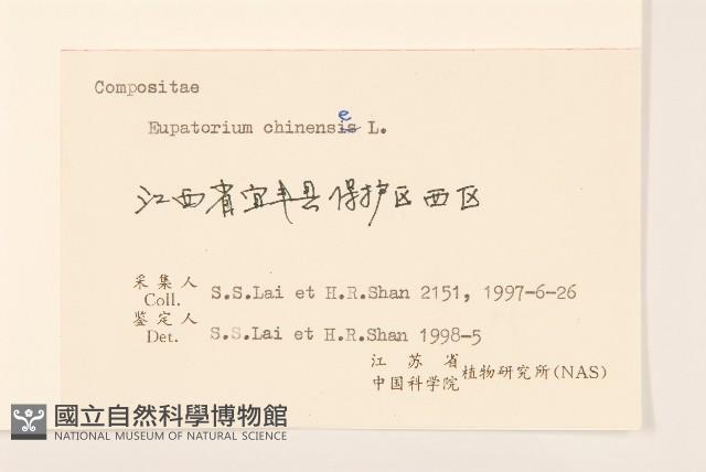 華澤蘭藏品圖，第3張