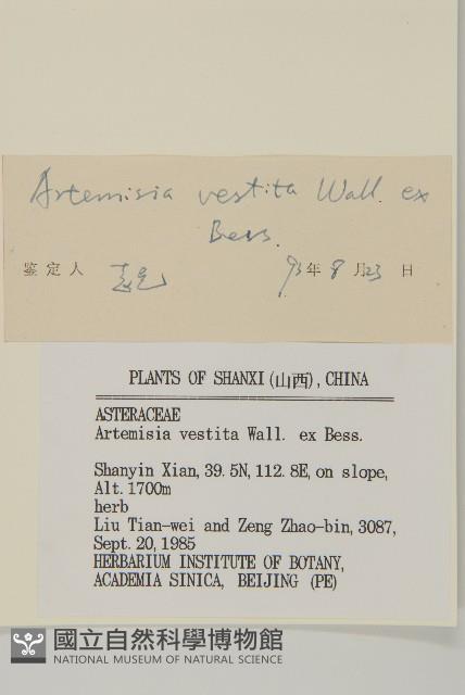 蒿子藏品圖，第3張