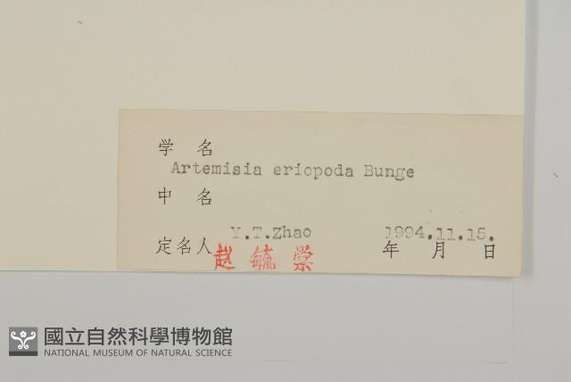 南牡蒿藏品圖，第3張