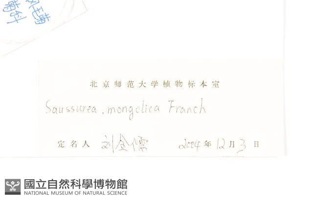 華北鳳毛菊藏品圖，第3張