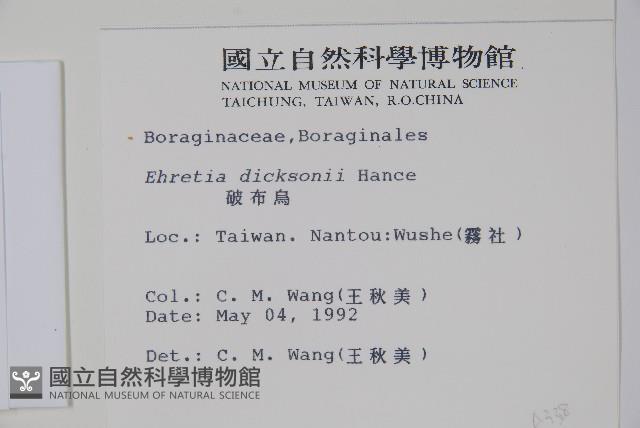 Dickson ehretia Collection Image, Figure 2, Total 2 Figures