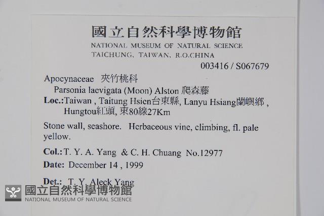 爬森藤藏品圖，第2張