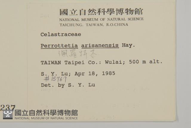 Taiwan perrottetia Collection Image, Figure 2, Total 2 Figures