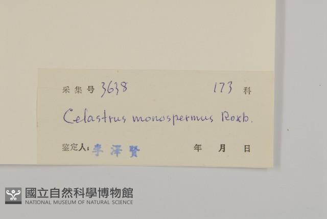 青江藤藏品圖，第3張