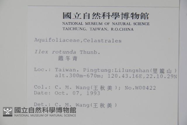 鐵冬青藏品圖，第2張