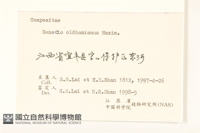 蒲兒根藏品圖，第3張