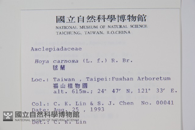 毬蘭藏品圖，第2張