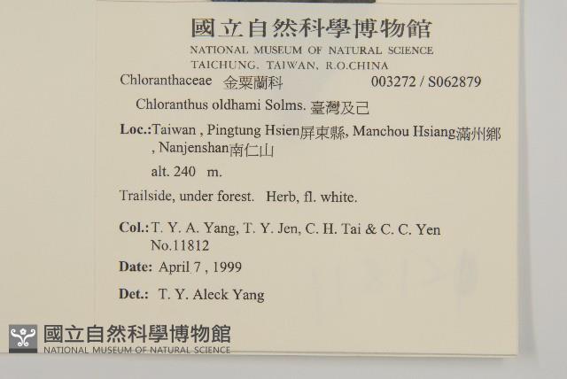 臺灣及己藏品圖，第2張