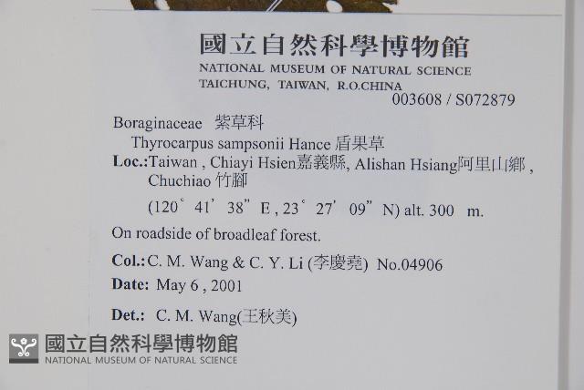 盾果草藏品圖，第2張