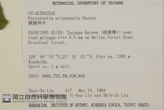 佩羅特木藏品圖，第2張