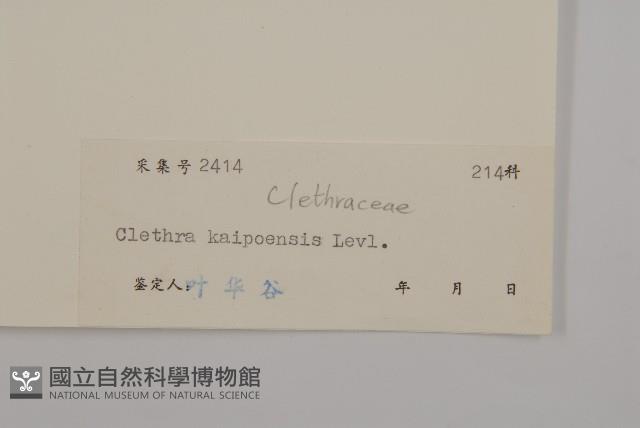 大葉山柳藏品圖，第3張