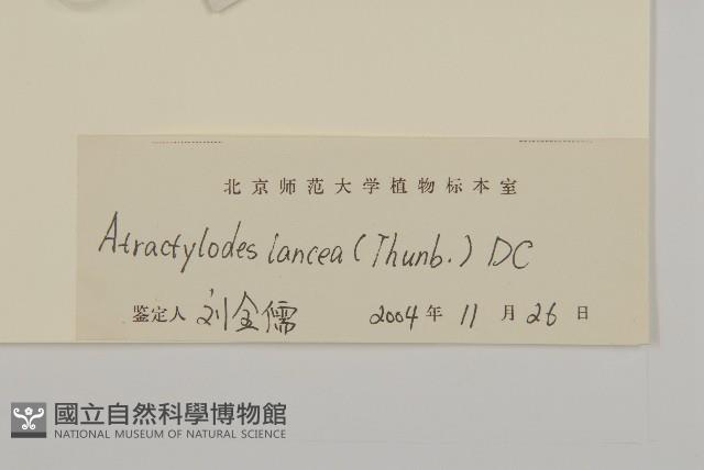 蒼朮、茅朮藏品圖，第3張