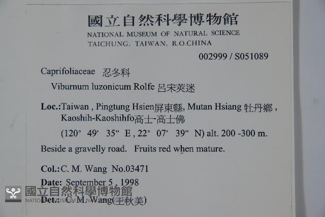 呂宋莢迷藏品圖，第2張