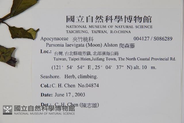 爬森藤藏品圖，第2張