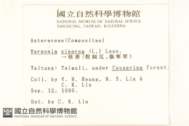 一枝香藏品圖，第2張