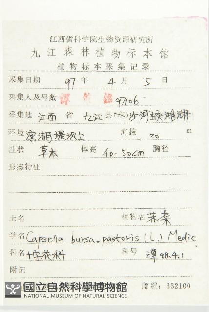 薺藏品圖，第2張