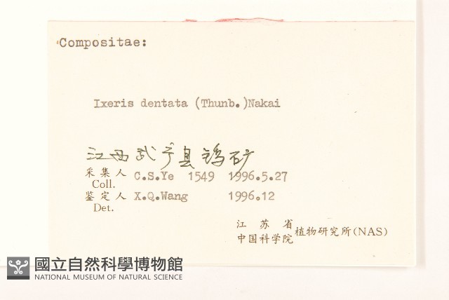 齒緣苦實藏品圖，第3張