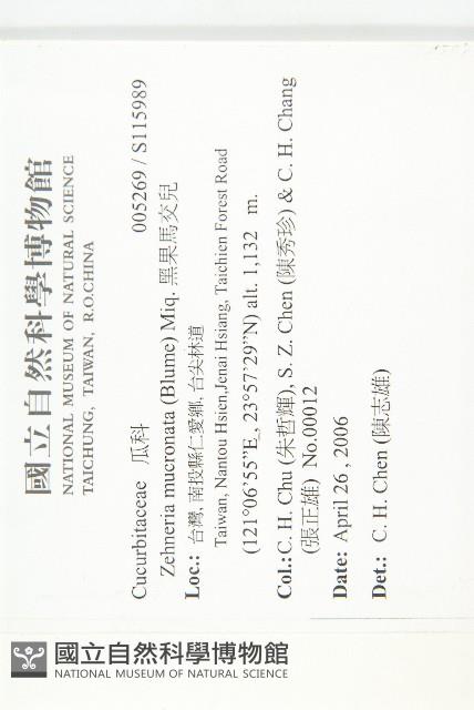 黑果馬交兒藏品圖，第2張