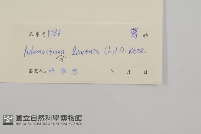 下田菊藏品圖，第3張