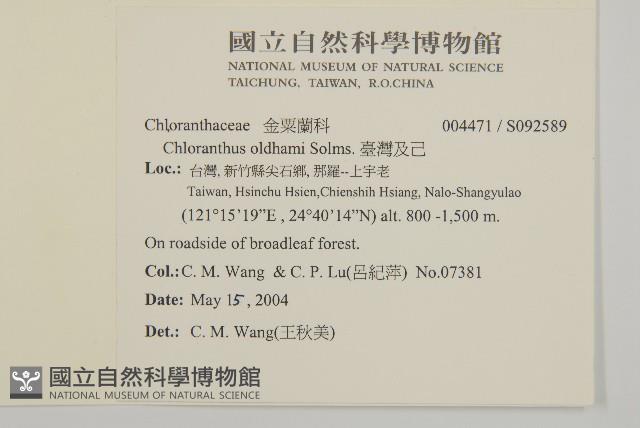 臺灣及己藏品圖，第2張
