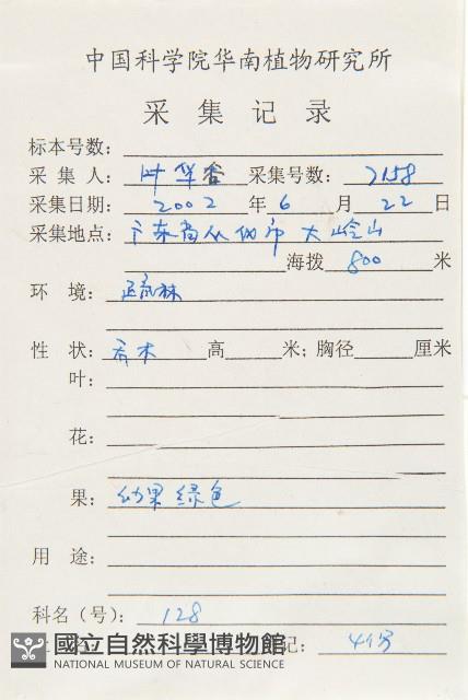 杜英、山杜英、蘭嶼杜英藏品圖，第2張