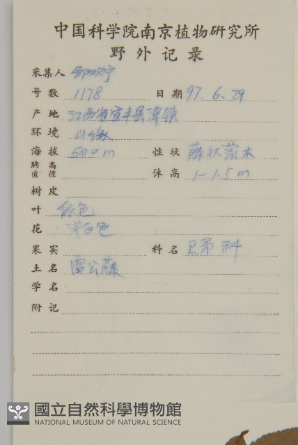 雷公藤藏品圖，第2張