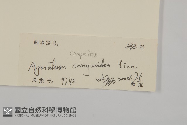 霍香薊藏品圖，第3張
