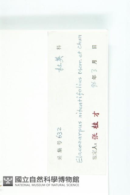 Accession Number:S041128 Collection Image, Figure 3, Total 3 Figures