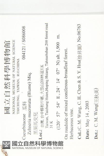 黑果馬交兒藏品圖，第2張