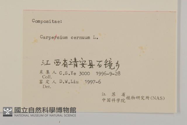 杓兒菜藏品圖，第3張