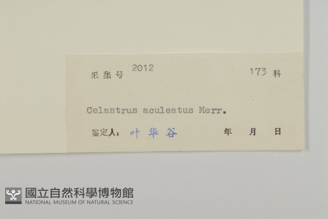 過山楓藏品圖，第3張