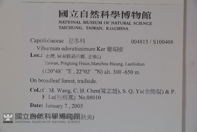 珊瑚樹藏品圖，第2張
