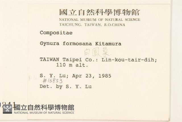 Accession Number:S000108 Collection Image, Figure 2, Total 2 Figures