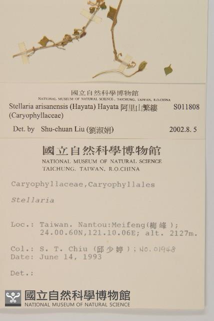 Accession Number:S011808 Collection Image, Figure 2, Total 2 Figures