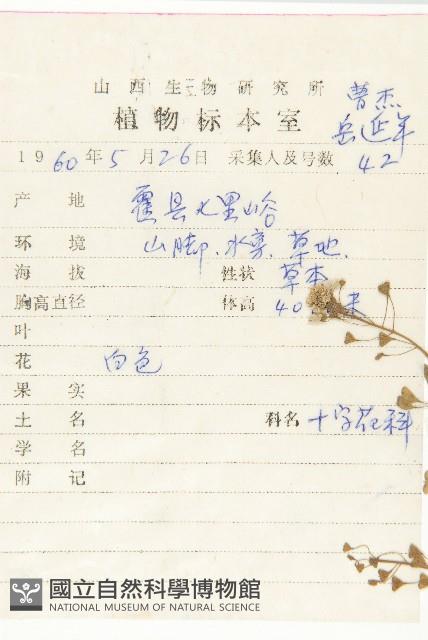 薺藏品圖，第2張